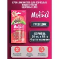 Molina / Крем-лакомство для кошек с морским гребешком, Здоровье глаз, 24 шт х 48 гр
