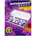 Стандартная муравьиная ферма максимальный комплект