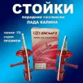 Стойки передние 2шт для Лада Калина под пружину с заниж. -70 газомасляные Демфи Премиум