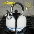 Чайник Casual, объем 1,5 л, из нерж стали со свистком, зеркальная полировка корпуса