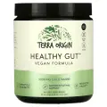 Terra Origin, Healthy Gut, веганская формула, 246,6 г (8,7 унции)