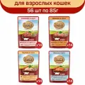 Влажный корм для кошек Nature's Table Микс вкусов в соусе: с говядиной, с индейкой, с курицей, с лососем, 56 шт по 85 г
