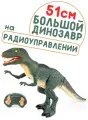 Динозавр с пультом, ходит, рычит, со светом и звуком