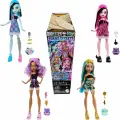 Кукла Monster High Buried Secrets Волна 1-3 HYV64