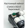Кейкап для механической клавиатуры кастомный Суккулент Бирюзовый