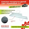 Молдинги дверей Лада Гранта, Калина (все семейство), комплект 4 шт, цвет Ледниковый № 221