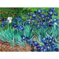 Набор для вышивания бисером Ирисы. Ван Гог
