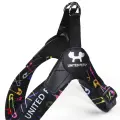 Шлейка United Pets для собак Complete me 3.5 - XL 48-64, черный с разноцветными булавками VLT-GPCMH2314MSP
