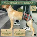 Ходунки для собак. Задняя часть, размер M.