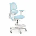 Растущее компьютерное детское кресло Ergokids Dream Air Y-607 голубой