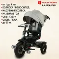 Детский трехколесный велосипед Tech Team с ручкой Luxury серый 1/1