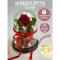 Роза в колбе живая, вечная, стабилизированная M 22см, подарок на 8 марта, на день рождения, на свадьбу, Бордовый