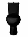 Унитаз компакт ирида, 1 реж, гориз. выпуск, сиденье полипропилен, цвет: черный