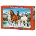 Пазл Castorland Call of nature (C-200702), 2000 дет., 68х92х38.5 см, мультиколор