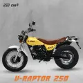 Мотоцикл дорожный Motoland V-RAPTOR 250