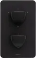 Термостат для ванны Allen Brau Infinity 5.21316-31 встраиваемый, черный матовый