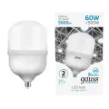 Светодиодная лампа Gauss Elementary LED T160 E27 60W 5600lm 180-240V 6500K