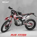 Мотоцикл Кросс PWR FZ300 (PR5 4V) красный