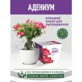 Набор для выращивания растений Адениум, подарок для детей и взрослых