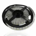 Светодиодная лента Standart PRO class, 5050, 144 led/m, RGBW, 24V, IP20