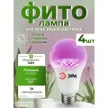 Фитолампа для растений 4 шт светодиодная красно-синего спектра 14 Вт Е27 фито лампа FITO-14W-RB-E27 ЭРА