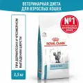 Сухой корм для кошек Royal Canin Skin&Coat для поддержания защитных функций кожи, 3,5 кг