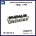 Головка блока цилиндров А274 Evotech ГБО