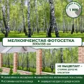 Фотосетка Мечта для забора беседки террасы 300x158 см, Лес , фотофасад для дома дачи сада