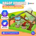 Набор для опытов «Моя мини-ферма»
