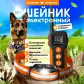 Электроошейник для дрессировки собак