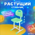 Растущий стул Anatomica Lux-02 зеленый