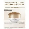 Антивозрастной корректирующий крем для лица от пигментных пятен CHOGONGJIN Sulbon DARK SPOT CORRECTING CREAM
