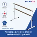 Хореографический станок мобильный Евро-1500 2-рядный с регулируемой высотой White в сборе