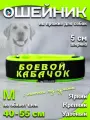 Ошейник для собак Buddy team на пряжке, с вышивкой боевой кабачок, ширина 5 см, с мягким подкладом для средних и крупных пород, размер M