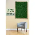 Панно из стабилизированного мха Венге 70*50 см.