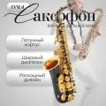 Профессиональный Саксофон Альт EGP Music Sax Eb Alto Saxophone / Музыкальный духовой инструмент в чехле