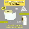 Термоэтикетки 100х150 250шт ЭКО/ 10 рулонов / самоклеящиеся этикетки/ термотрансферные стикеры