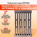 Решетка чугунная колосниковая Рубцовск РУ-2 (200х300) для печи и каминов, завод Литком