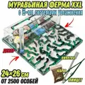 Большая муравьиная ферма Мята XXL lux 26*24см с 2-мя системами увлажнения