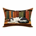 Подушка декоративная Кот Степан библиотекарь 30х50 велюр