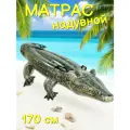 Роза с шипамиНадувной матрас для моря\бассейна М01 Крокодил 170х86 см, зеленый