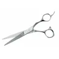 Ножницы для стрижки Shorem Master 6.0