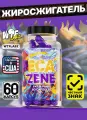 Жиросжигатель Ecazene WTFLabz, 60 порций, без вкуса, банка, 90г