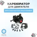 Карбюратор для двигателя BRIGGS & STRATTON 795477/498809 (с компл. прокл.)