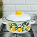 Кастрюля эмалированная Лимоны в цвету 4л стальэмаль