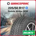 Зимняя нешипованная шина Delinte Winter WD6 225/50 R17 98T