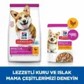 Корм для собак мелких пород индейки и курицы Hills Adult Small&Miniature 1,5 кг
