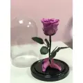 Лиловая роза в колбе Мини в подарочной коробке с вау эффектом/22 см/ Живет 5 лет!