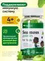 Мультивитамины Ирландский мох для детей NDCG, со вкусом яблока, 60 жевательных мишек
