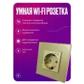 Умная розетка WIFI на 16А, встраиваемая с голосовым управлением, умный дом, стеклянная золотая